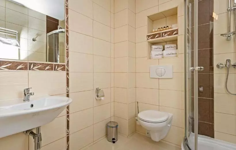 スタンダードルーム, Park Hotel Tryszczyn