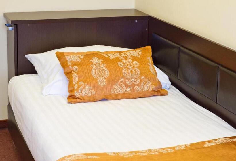 חדר סטנדרט יחיד, Park Hotel Tryszczyn