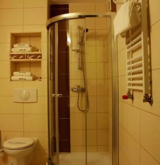 スタンダードシングルルーム, Park Hotel Tryszczyn