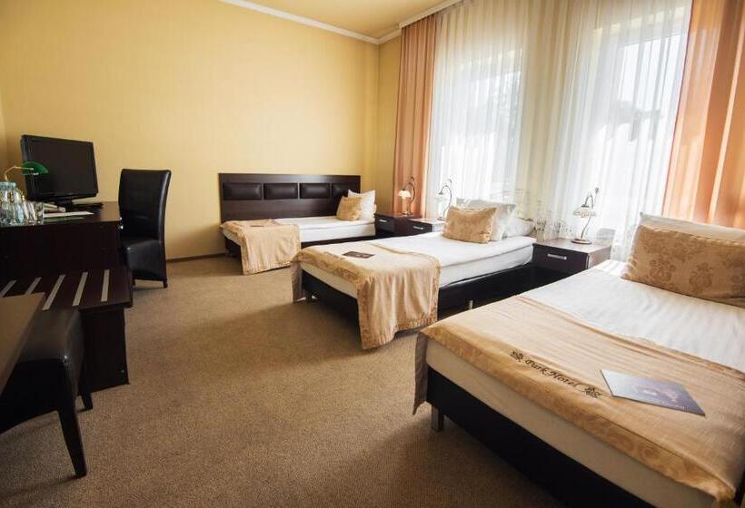 Номер Стандарт Трехместный, Park Hotel Tryszczyn