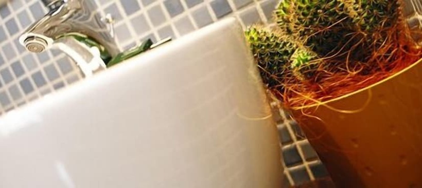 スタンダードルーム, Perla The Storyhoteller