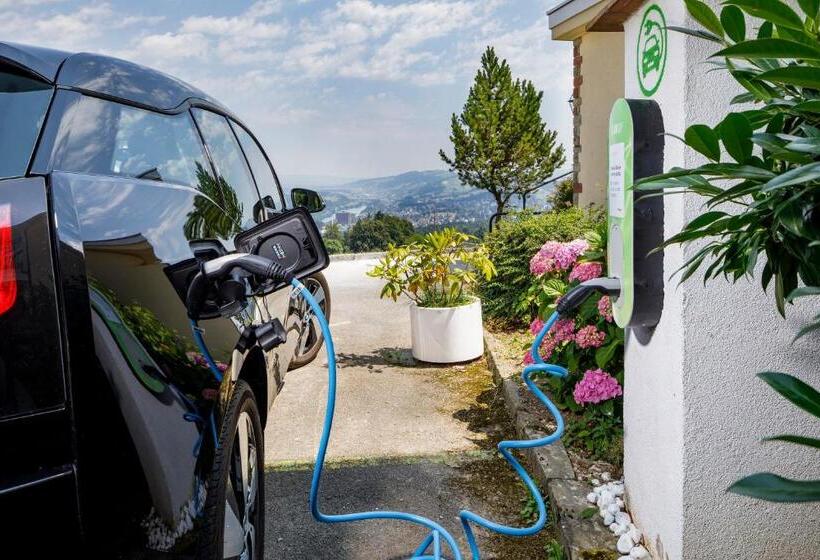 חדר סטנדרט חדר אמבטיה משותף, Sonnenberg