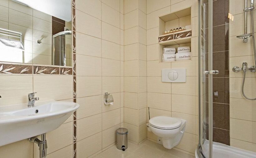 Номер Стандарт Индивидуальный, Park Hotel Tryszczyn