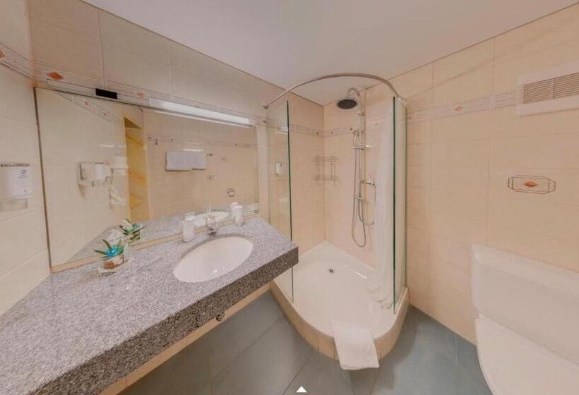 Номер Deluxe Вид на Озеро, Best Western Hotel Rebstock