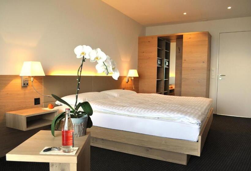 豪华湖景房, Best Western Hotel Rebstock