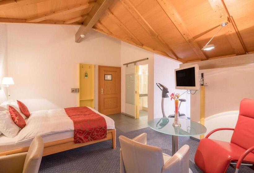 Номер Deluxe Вид на Озеро, Best Western Hotel Rebstock