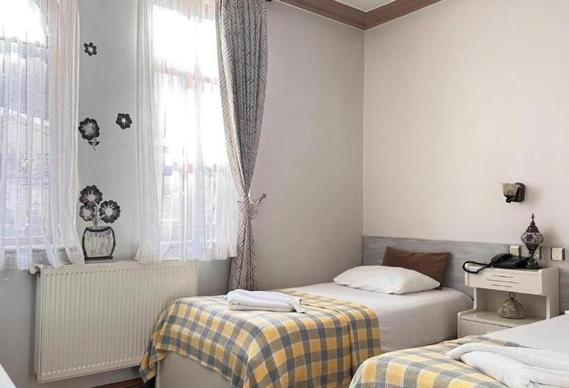 Номер Стандарт Вид на Город, Akuzun