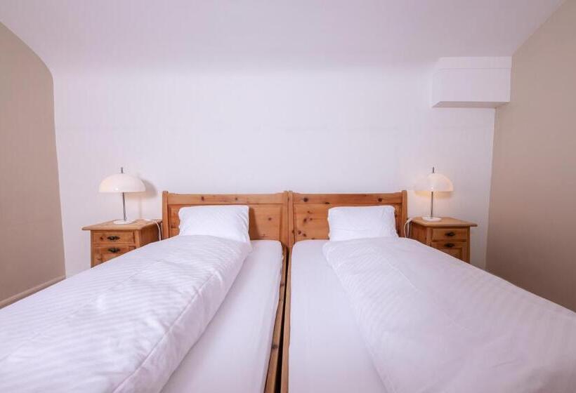 اتاق سوپریور, Chesa Spuondas