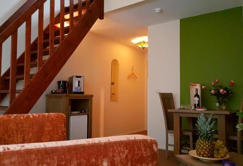 스탠다드 발코니 스튜디오, Dolores Ameland