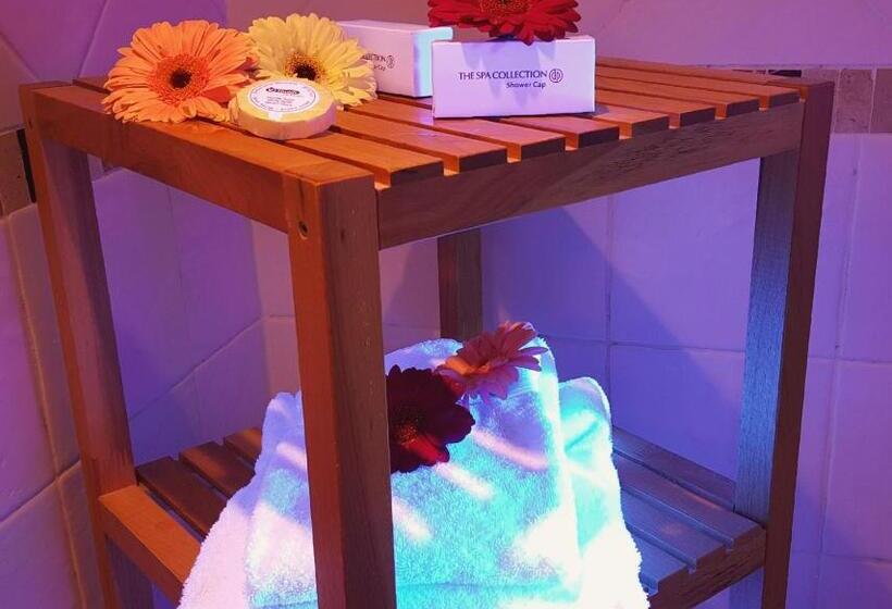 수피리어 룸, Dolores Ameland