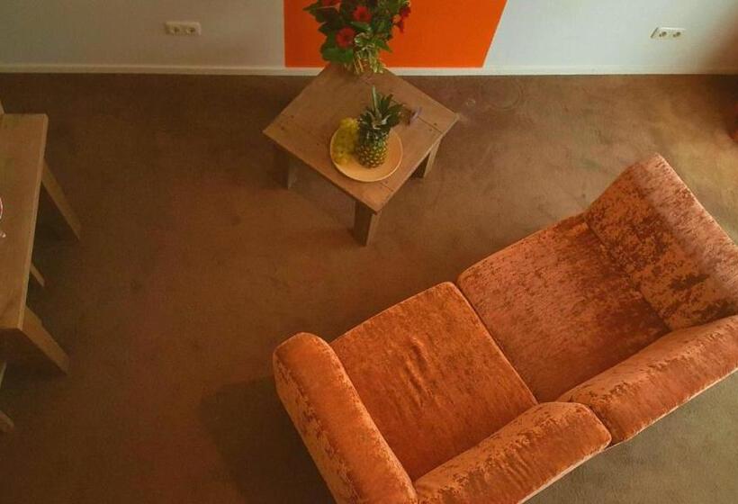 스탠다드 스튜디오 (테라스구비), Dolores Ameland