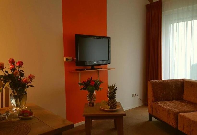 스탠다드 스튜디오 (테라스구비), Dolores Ameland