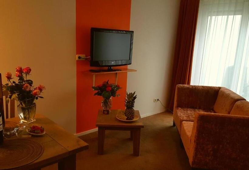 스탠다드 발코니 스튜디오, Dolores Ameland