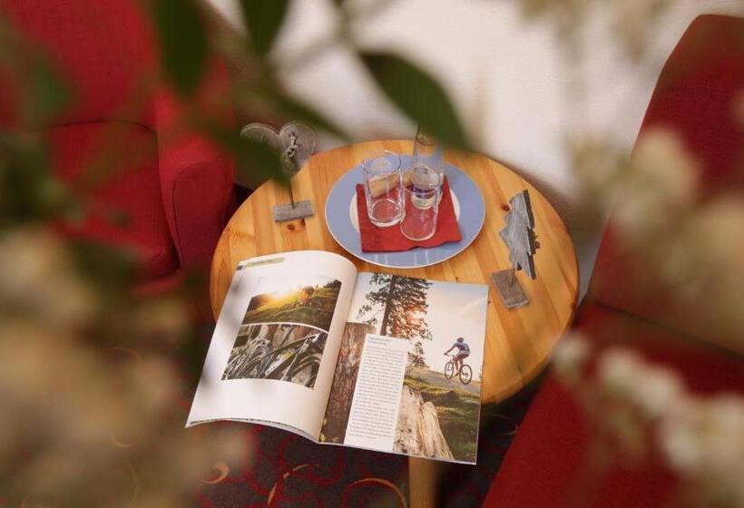 Номер Стандарт, Garni Landhaus Traunbachhäusl