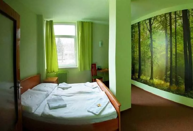 اتاق استاندارد, Liberec