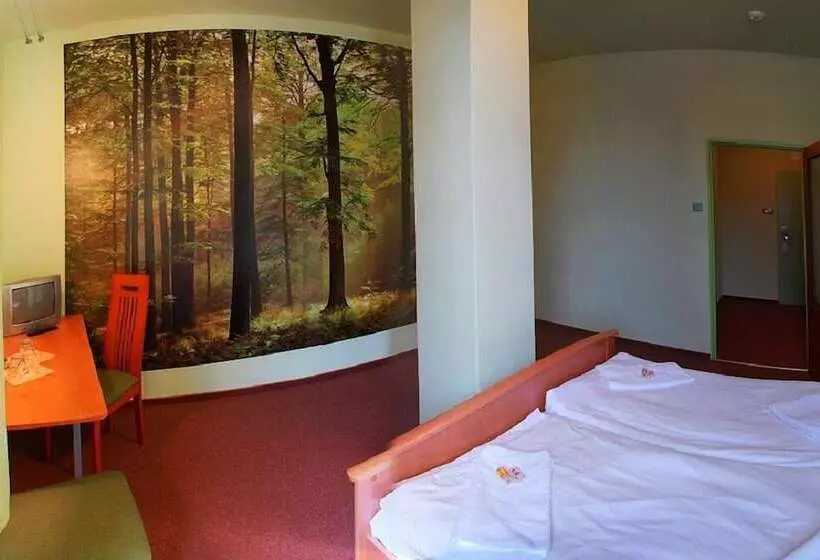 اتاق استاندارد سه نفره, Liberec