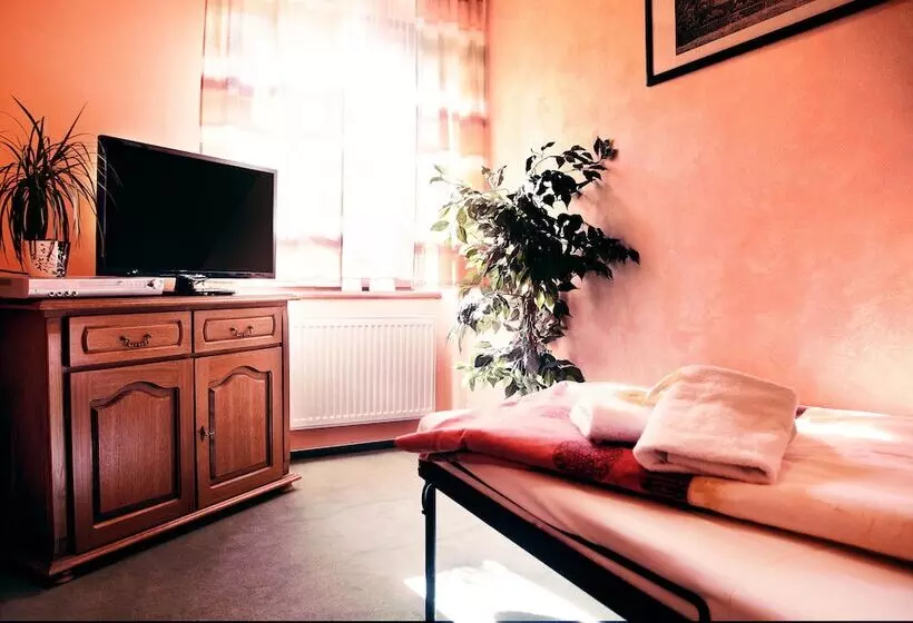 Standard Yhden Hengen Huone, Mahleruv Penzion Na Hradbach