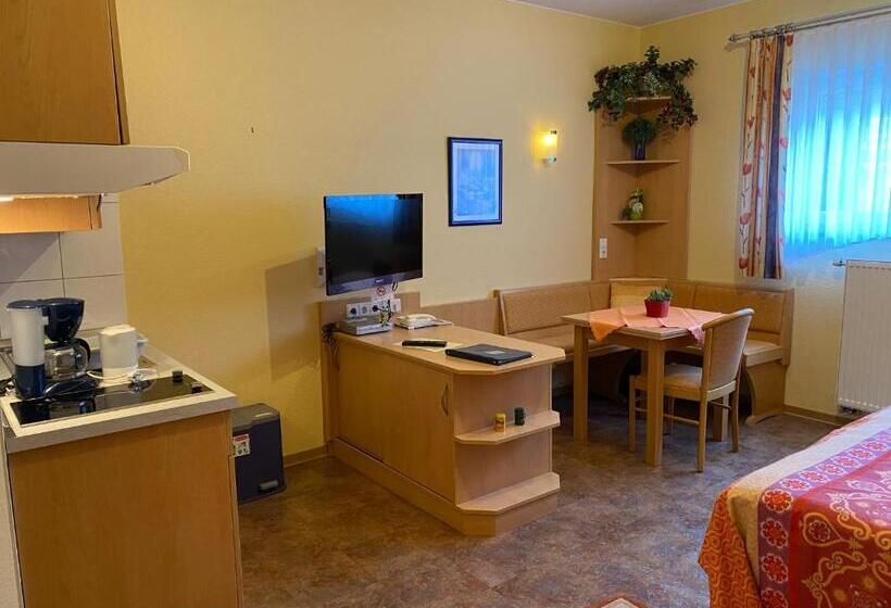 Апартаменты 1 Спальня, Birnbaumhof   Hotel Pension Und Ferienwohnungen