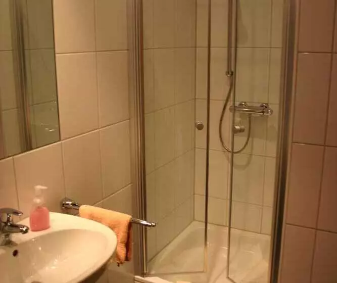 スタンダードシングルルーム, Birnbaumhof   Hotel Pension Und Ferienwohnungen