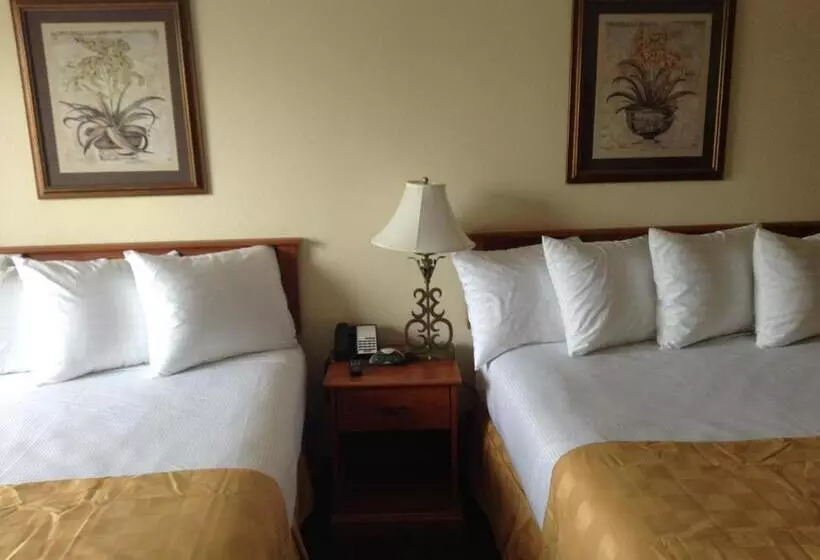 スタンダードルーム, Best Inn & Suites