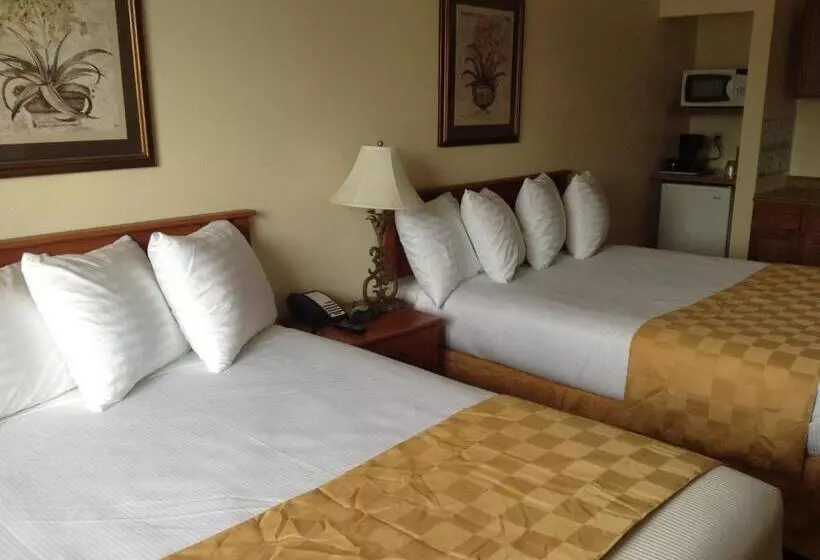 Mini Suite, Best Inn & Suites