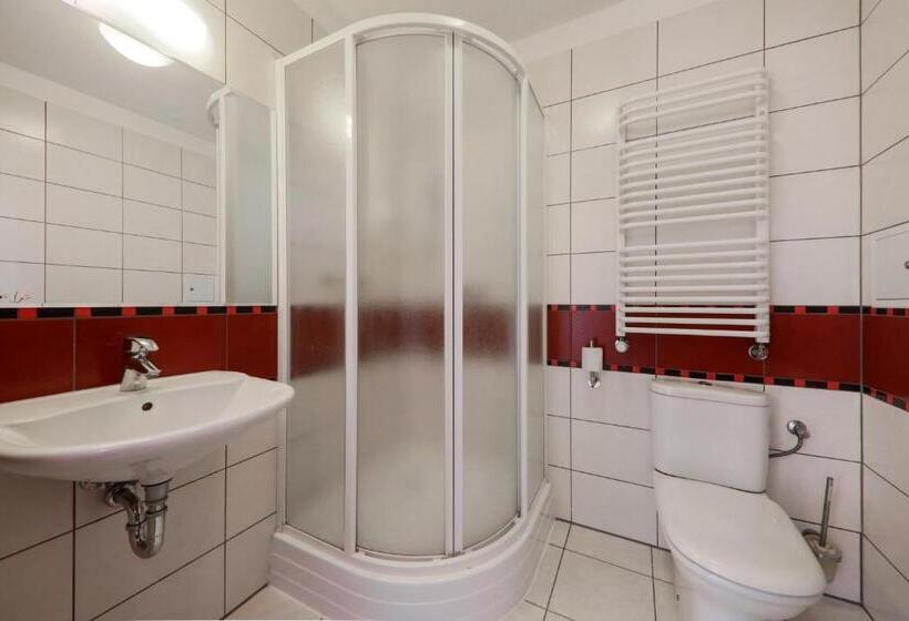 חדר סטנדרט, Borowiecki