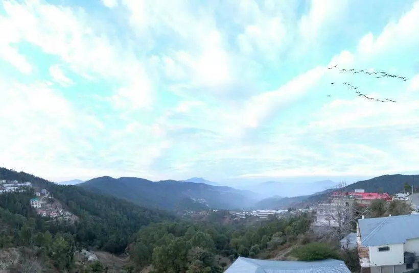 デラックスルーム, Chail Residency