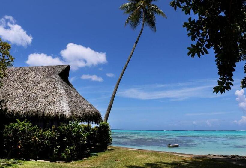 Deluxe Bungalow, Hibiscus