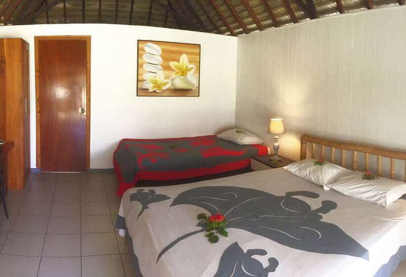 Standardrum, Hibiscus