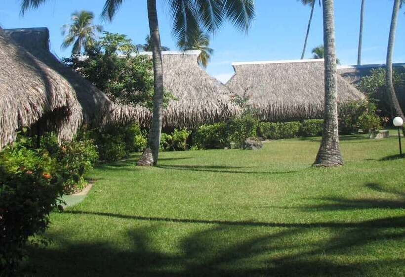 Standardrum, Hibiscus