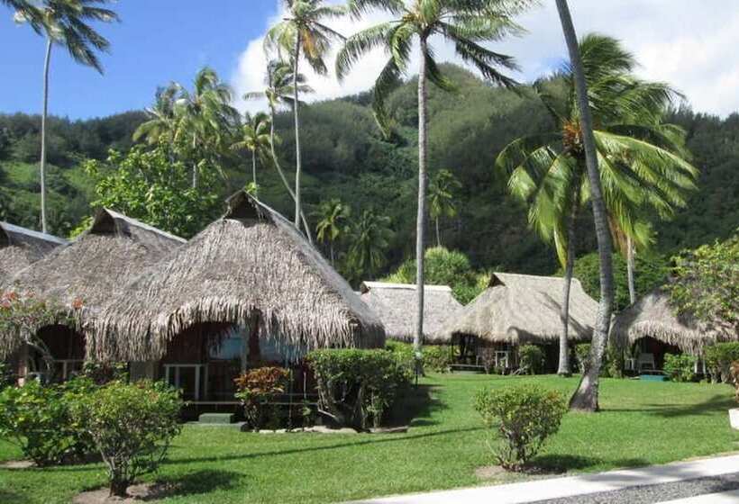 Standardrum, Hibiscus