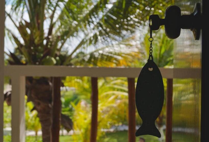 带2个双人床的标准工作室, Puerto Holbox Beach Front