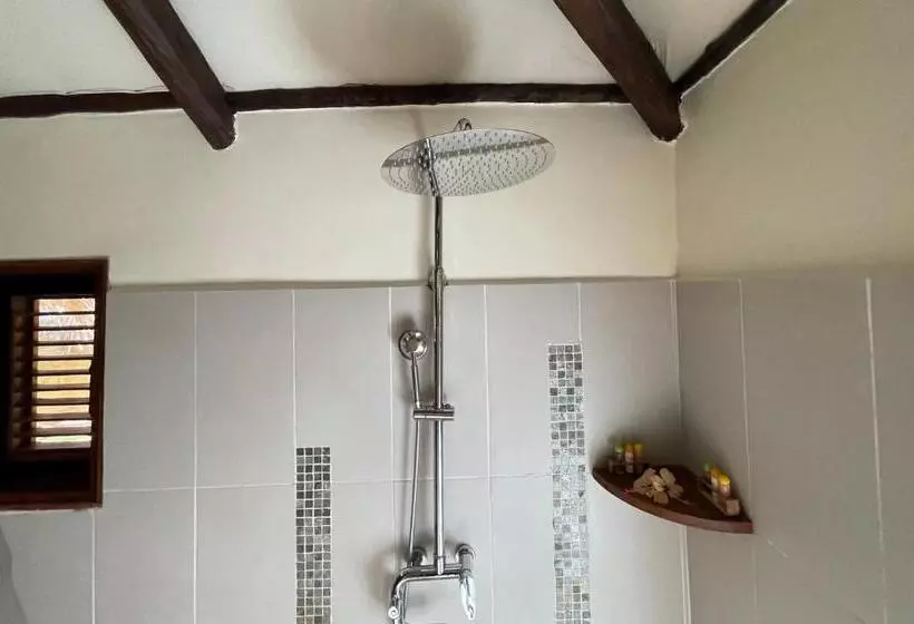 سوییت اجرایی, Ravintsara Wellness