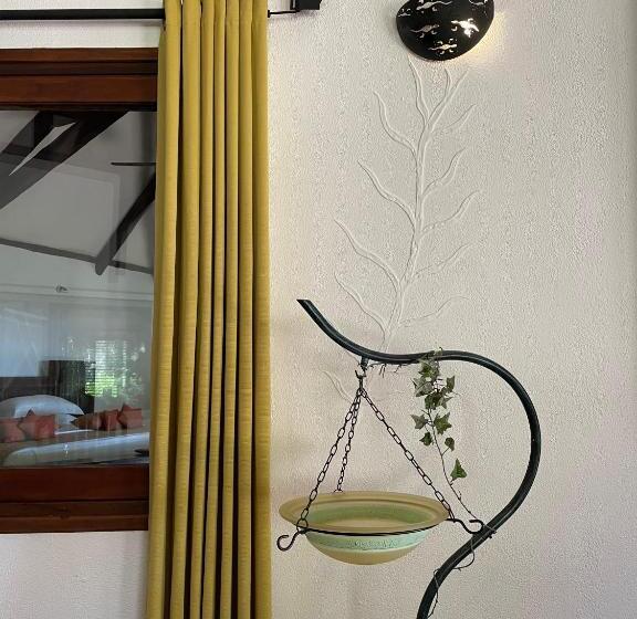 سوییت اجرایی, Ravintsara Wellness