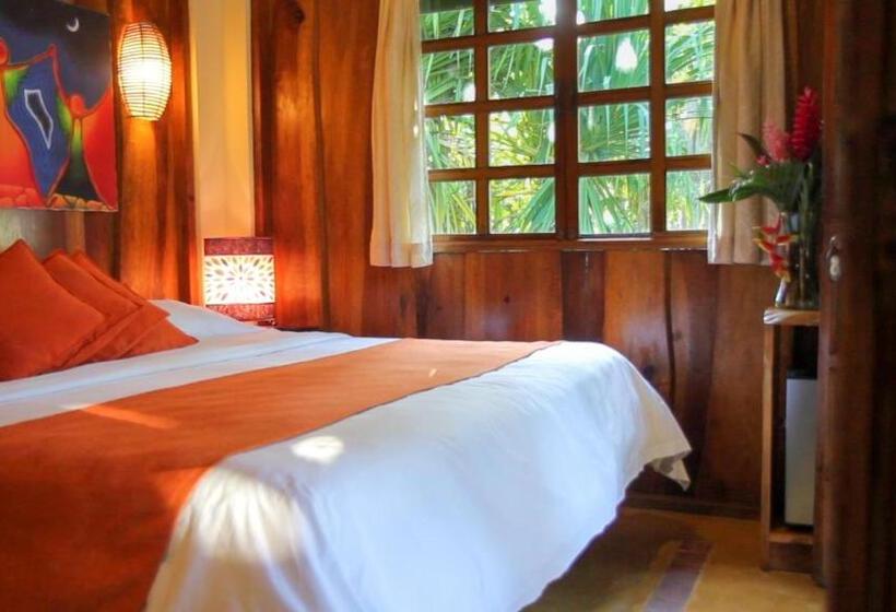 스탠다드 방갈로, Tropico Latino