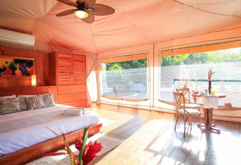 주니어 스위트 바다 전망, Tropico Latino