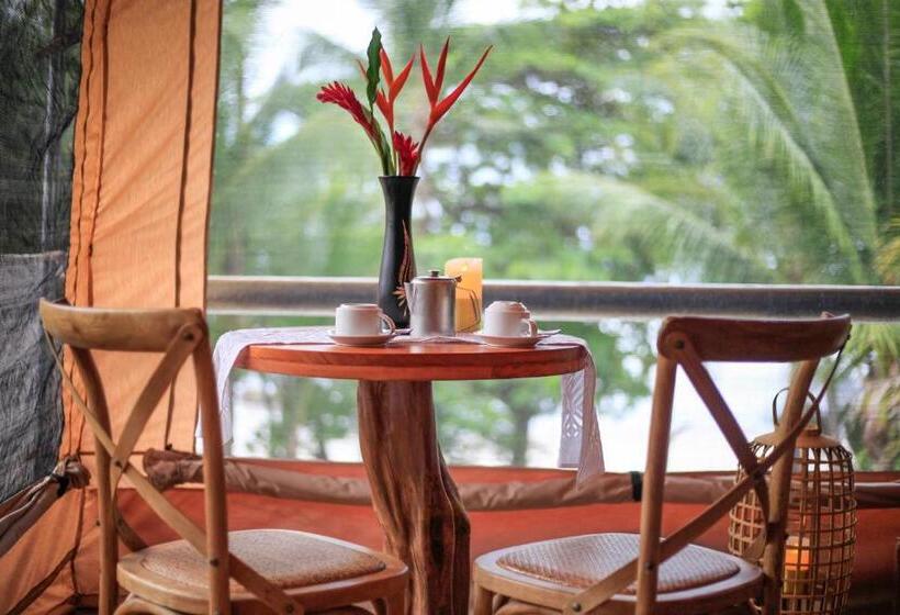 주니어 스위트 바다 전망, Tropico Latino