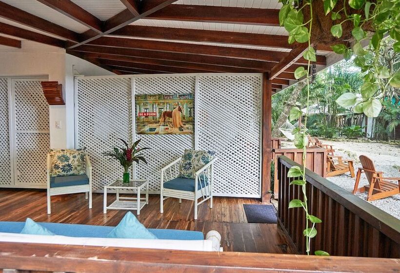 스탠다드 룸, Tropico Latino