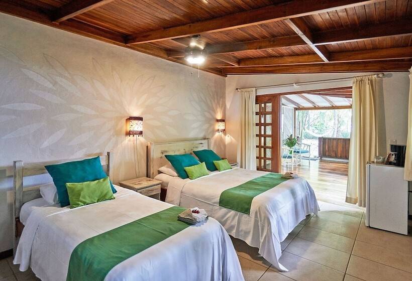 스탠다드 룸, Tropico Latino