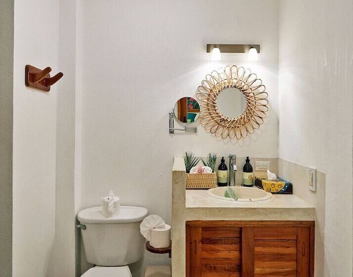 스탠다드 룸, Tropico Latino