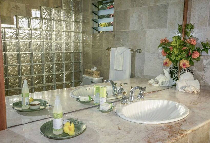 Villa Deluxe 1 Camera da Letto, Beqa Lagoon Resort