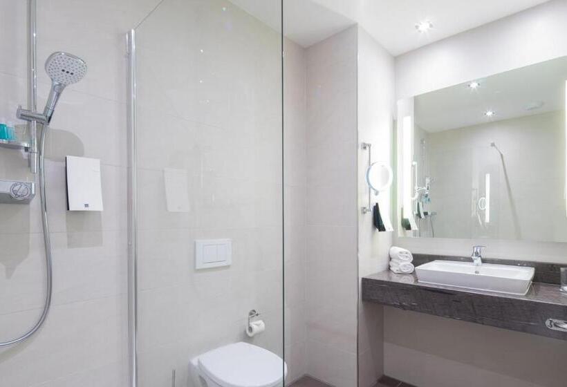 Номер Стандарт Индивидуальный, Best Western Hotel Dreiländerbrücke Weil Am Rhein / Basel