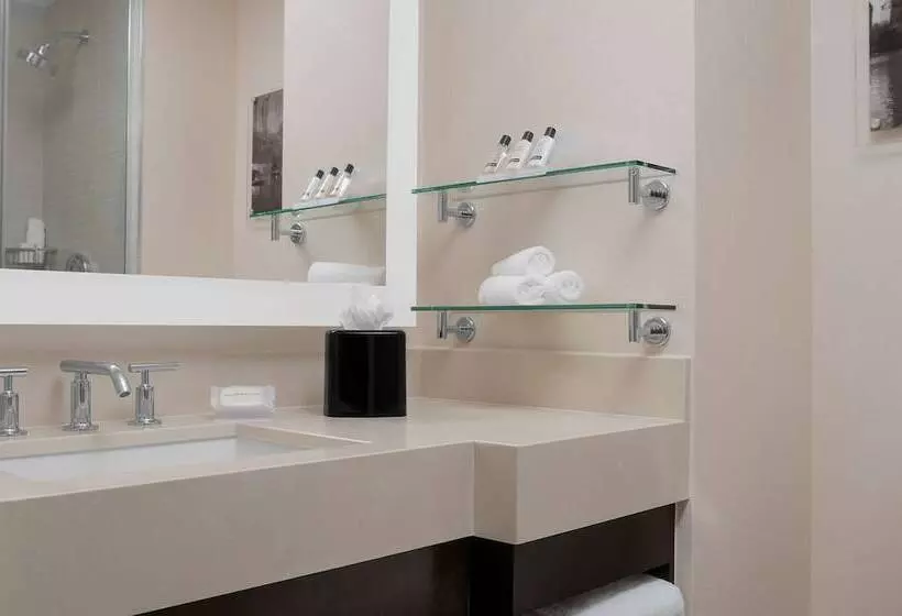 Standard-huone 2 Parivuodetta, Hilton Garden Inn New York/times Square Central