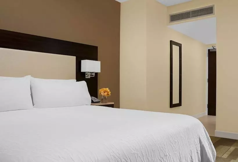 Standard-invahuone Parivuode, Hilton Garden Inn New York/times Square Central