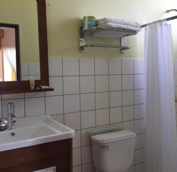 غرفة قياسية, Park