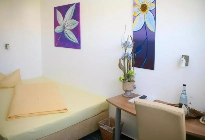 Standard Yhden Hengen Huone, Parkhotel Lindau