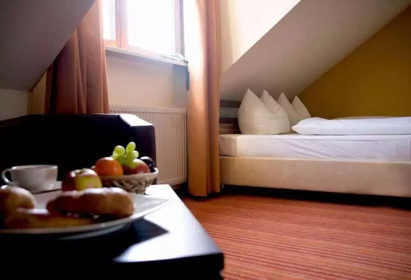 Standard Yhden Hengen Huone, Parkhotel Lindau