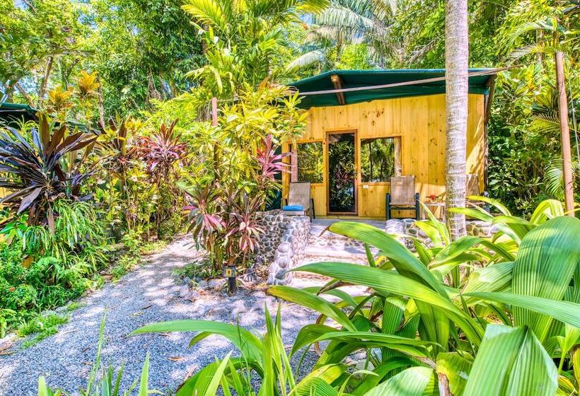 스탠다드 룸, Ylang Ylang Beach Resort