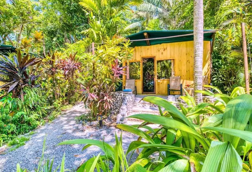 スタンダードルーム, Ylang Ylang Beach Resort