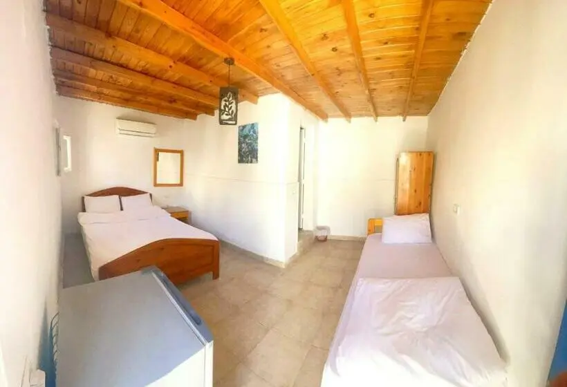 اتاق استاندارد یک نفره, Auski Hostel Dahab